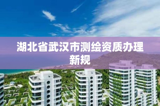 湖北省武漢市測繪資質辦理新規