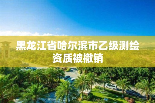 黑龍江省哈爾濱市乙級測繪資質被撤銷