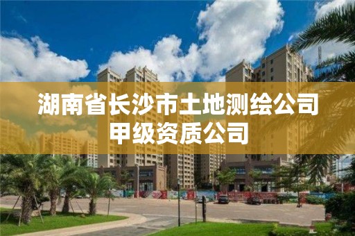 湖南省長沙市土地測繪公司甲級資質(zhì)公司