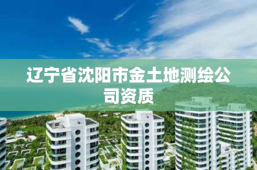 遼寧省沈陽市金土地測繪公司資質