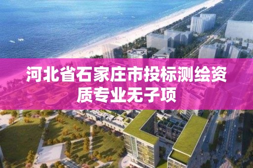 河北省石家莊市投標測繪資質專業無子項