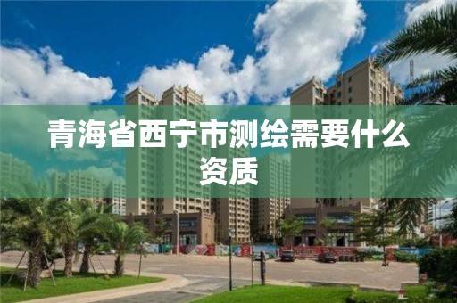 青海省西寧市測繪需要什么資質