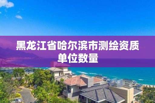 黑龍江省哈爾濱市測繪資質單位數量