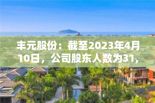 豐元股份：截至2023年4月10日，公司股東人數為31,386