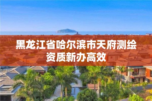 黑龍江省哈爾濱市天府測繪資質新辦高效