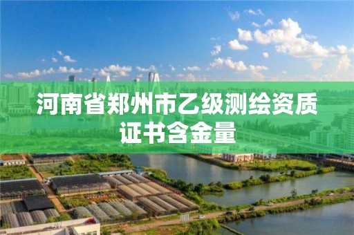 河南省鄭州市乙級測繪資質證書含金量