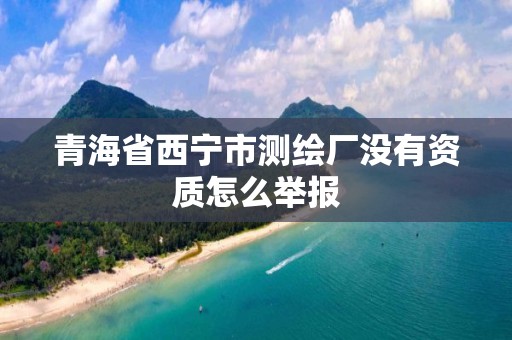 青海省西寧市測繪廠沒有資質怎么舉報