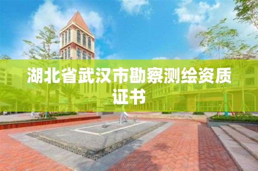 湖北省武漢市勘察測繪資質證書