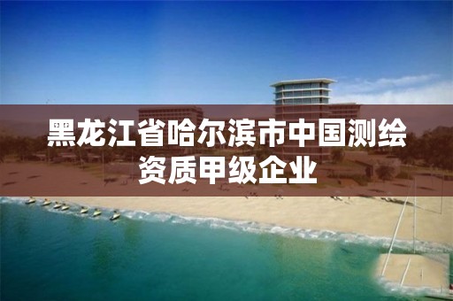 黑龍江省哈爾濱市中國測繪資質甲級企業