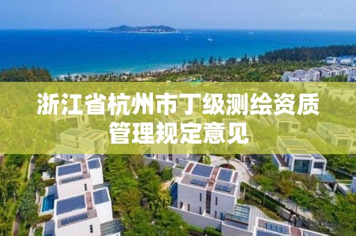 浙江省杭州市丁級測繪資質管理規定意見