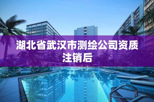 湖北省武漢市測繪公司資質注銷后