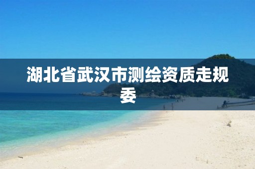 湖北省武漢市測繪資質走規委