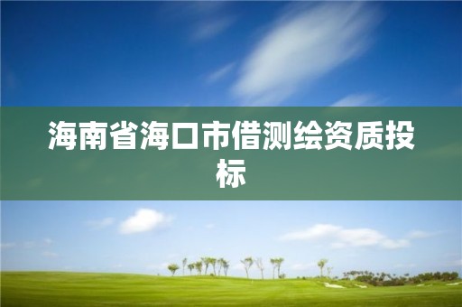 海南省海口市借測(cè)繪資質(zhì)投標(biāo)