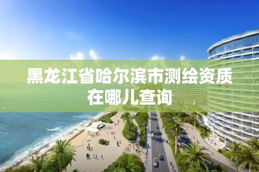 黑龍江省哈爾濱市測繪資質在哪兒查詢