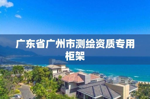 廣東省廣州市測繪資質專用柜架