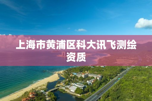 上海市黃浦區科大訊飛測繪資質