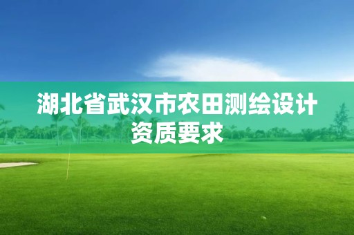 湖北省武漢市農田測繪設計資質要求