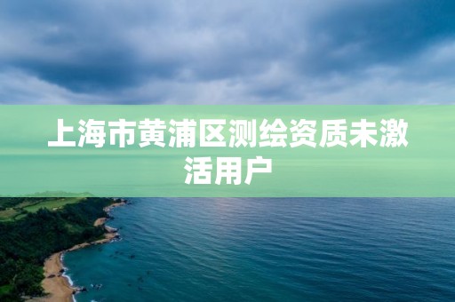 上海市黃浦區測繪資質未激活用戶