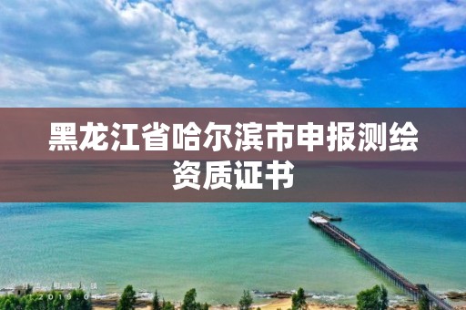 黑龍江省哈爾濱市申報測繪資質證書