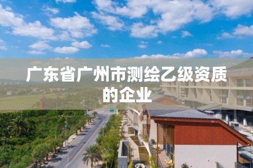 廣東省廣州市測繪乙級資質(zhì)的企業(yè)