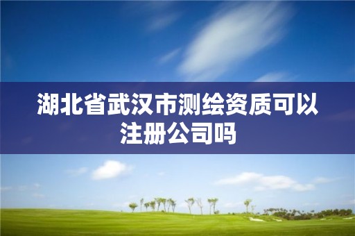 湖北省武漢市測繪資質可以注冊公司嗎