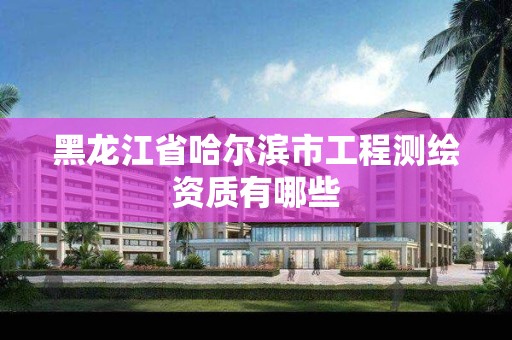 黑龍江省哈爾濱市工程測繪資質有哪些