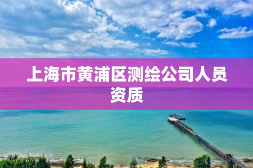 上海市黃浦區測繪公司人員資質