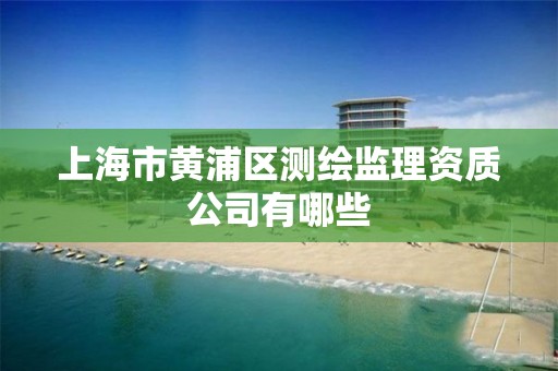 上海市黃浦區測繪監理資質公司有哪些