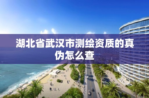 湖北省武漢市測繪資質的真偽怎么查