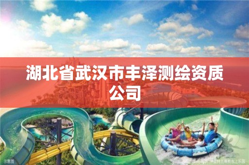 湖北省武漢市豐澤測繪資質公司