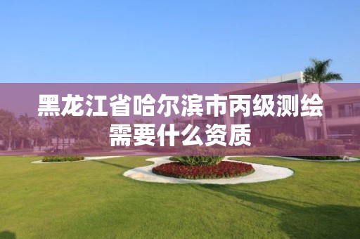 黑龍江省哈爾濱市丙級測繪需要什么資質