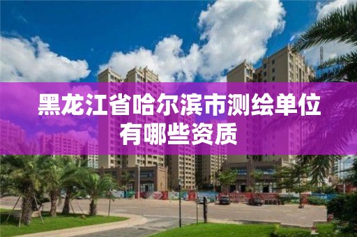 黑龍江省哈爾濱市測繪單位有哪些資質