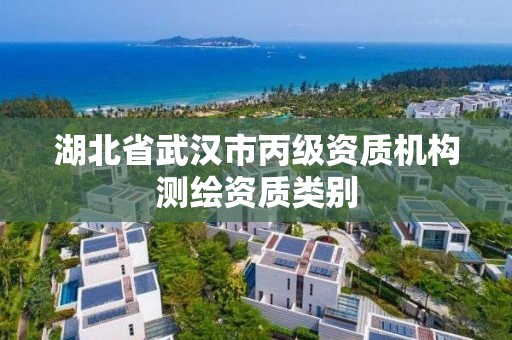 湖北省武漢市丙級資質機構測繪資質類別