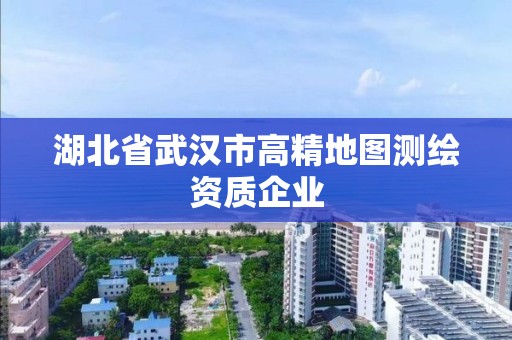 湖北省武漢市高精地圖測繪資質企業