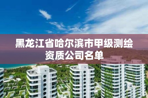 黑龍江省哈爾濱市甲級測繪資質公司名單