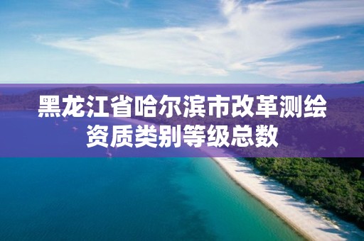 黑龍江省哈爾濱市改革測繪資質類別等級總數