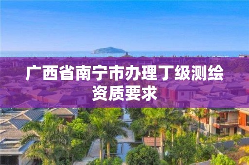 廣西省南寧市辦理丁級測繪資質要求