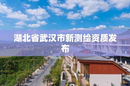 湖北省武漢市新測繪資質發布