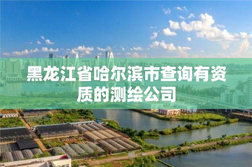 黑龍江省哈爾濱市查詢有資質的測繪公司