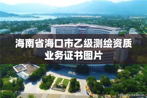 海南省?？谑幸壹墱y繪資質業務證書圖片