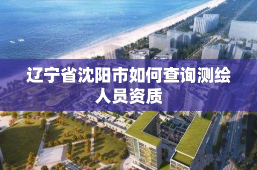 遼寧省沈陽市如何查詢測繪人員資質