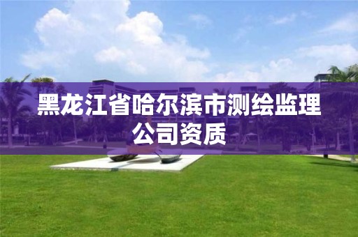 黑龍江省哈爾濱市測繪監(jiān)理公司資質