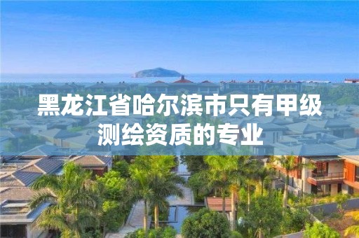 黑龍江省哈爾濱市只有甲級測繪資質的專業