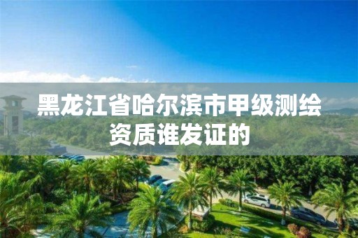 黑龍江省哈爾濱市甲級測繪資質(zhì)誰發(fā)證的