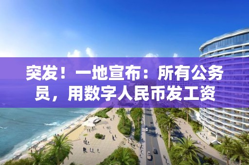 突發！一地宣布：所有公務員，用數字人民幣發工資