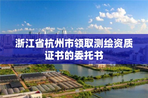 浙江省杭州市領取測繪資質證書的委托書