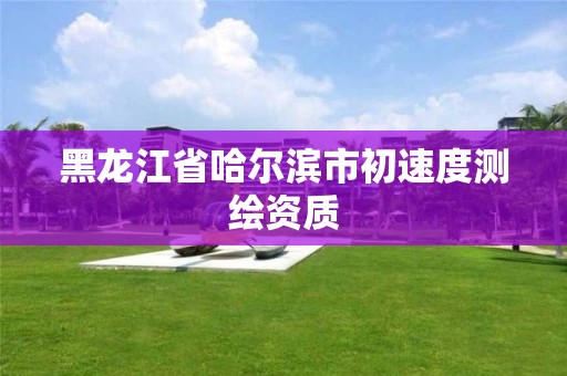 黑龍江省哈爾濱市初速度測繪資質