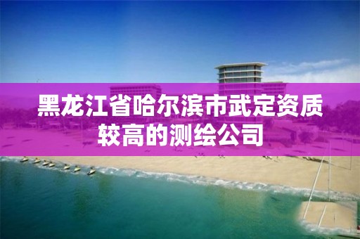 黑龍江省哈爾濱市武定資質較高的測繪公司