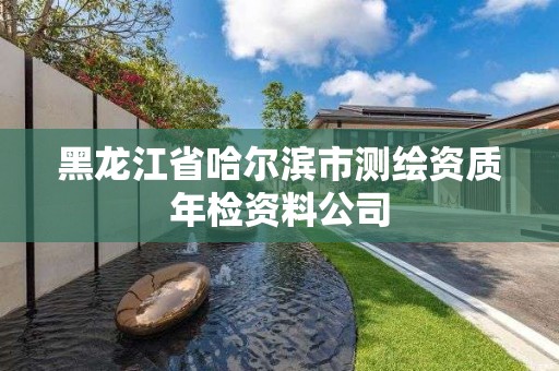 黑龍江省哈爾濱市測繪資質年檢資料公司