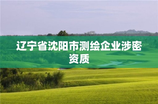 遼寧省沈陽市測繪企業(yè)涉密資質(zhì)